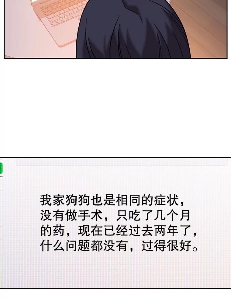 《彩虹桥守望者》129.兽医的决定 第28页