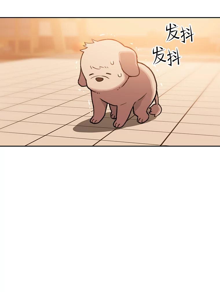 《彩虹桥守望者》129.兽医的决定 第34页