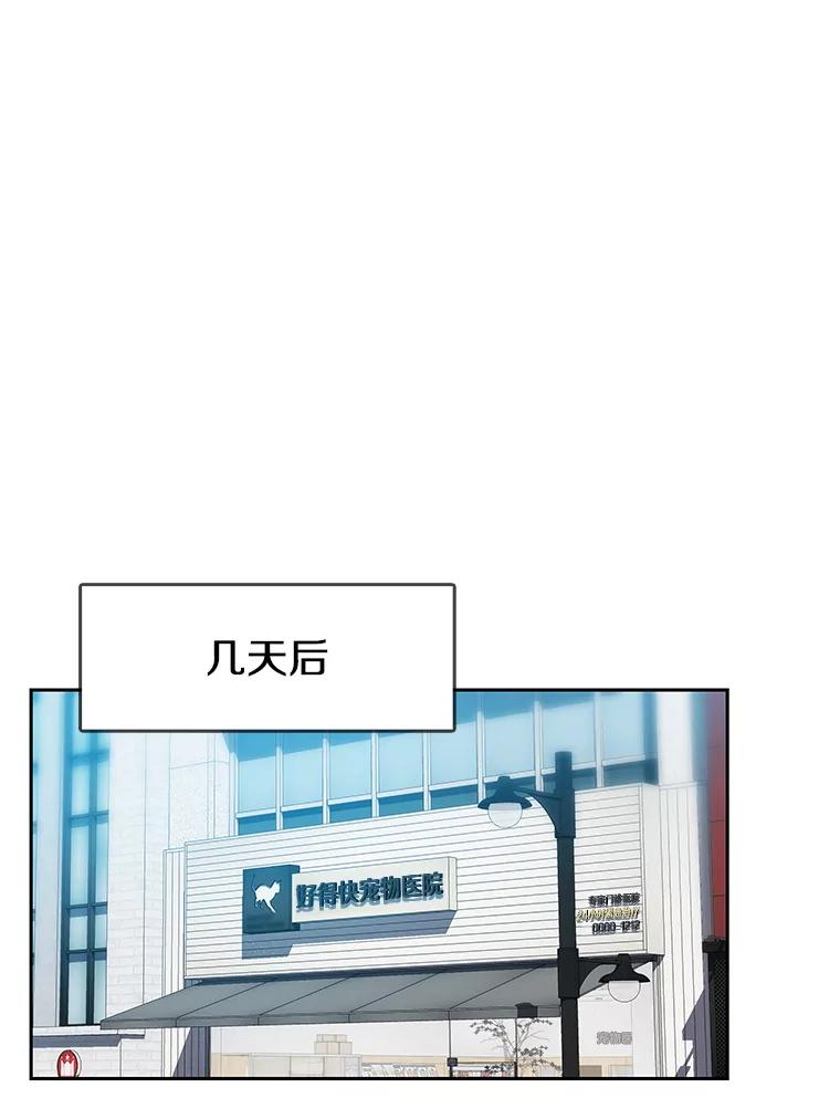 《彩虹桥守望者》129.兽医的决定 第47页