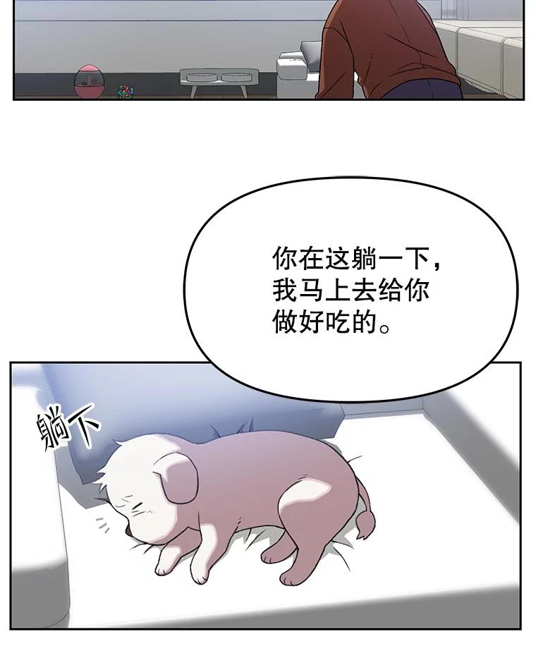 《彩虹桥守望者》129.兽医的决定 第66页