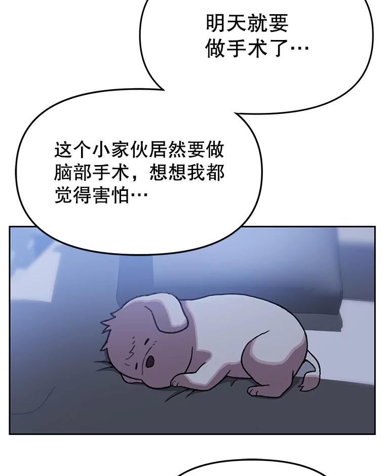 《彩虹桥守望者》129.兽医的决定 第10页