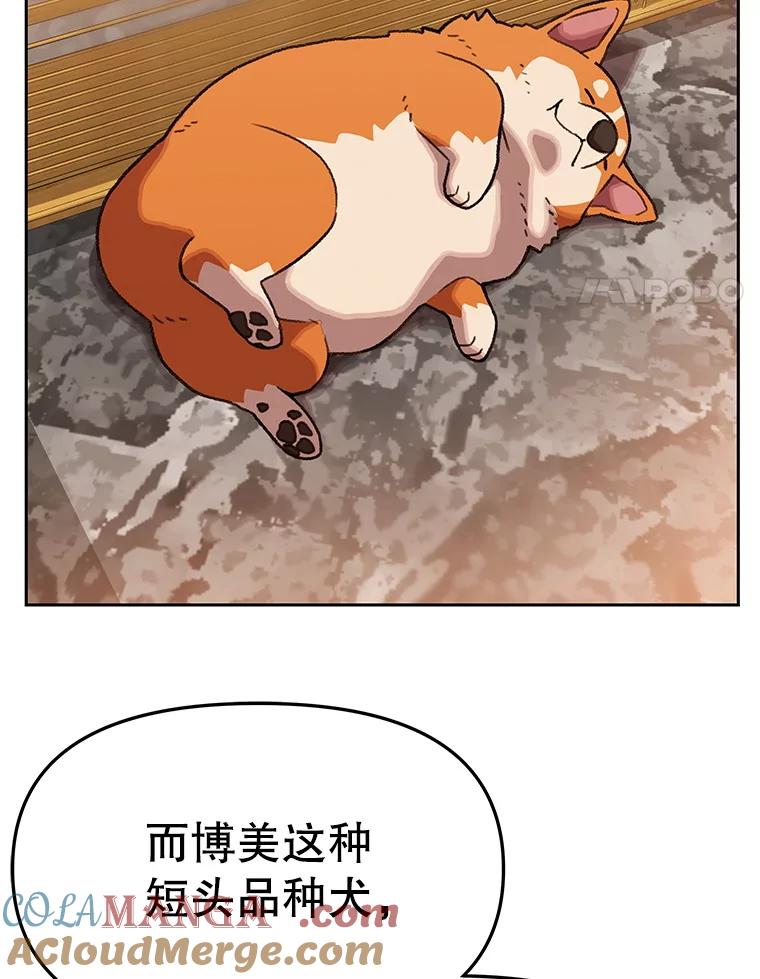 《彩虹桥守望者》133.我们一起来的 第46页
