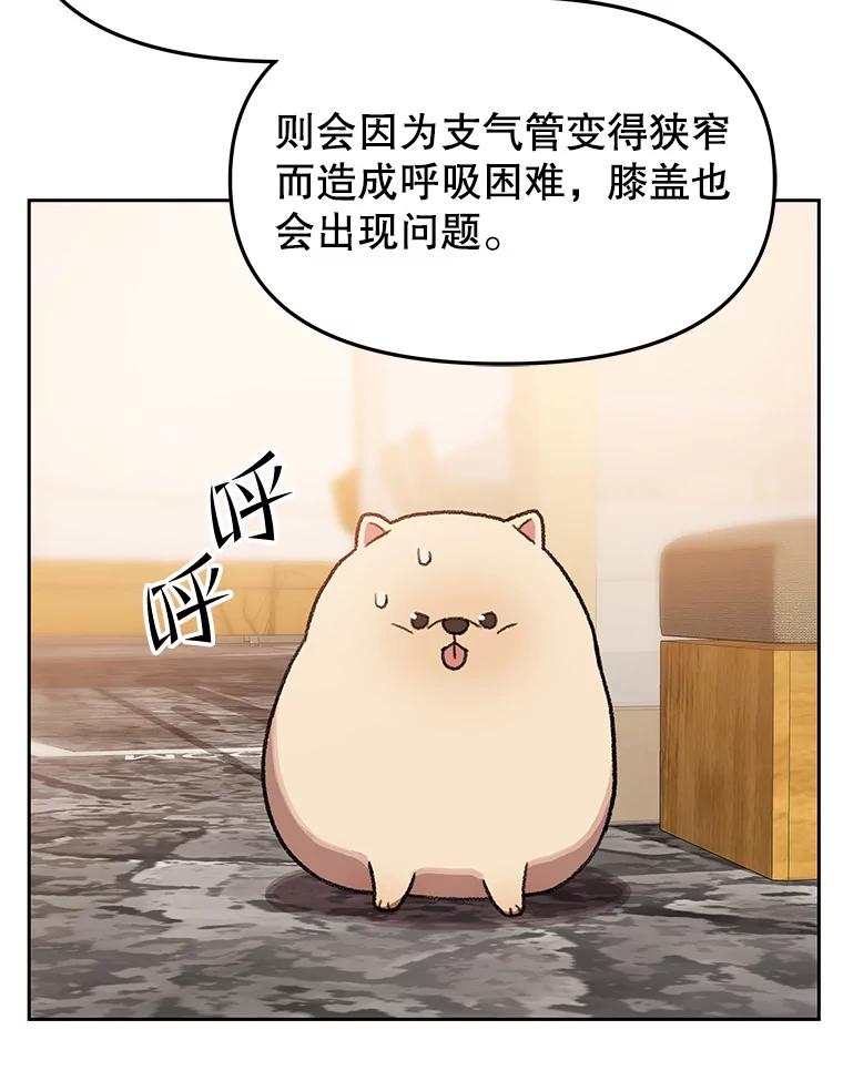 《彩虹桥守望者》133.我们一起来的 第47页