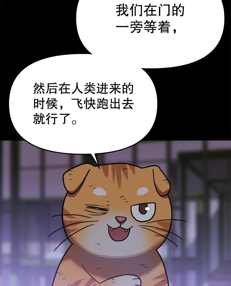《彩虹桥守望者》137.一起逃跑 第63页