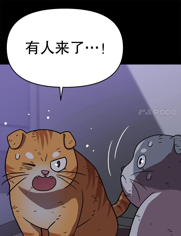 《彩虹桥守望者》137.一起逃跑 第72页