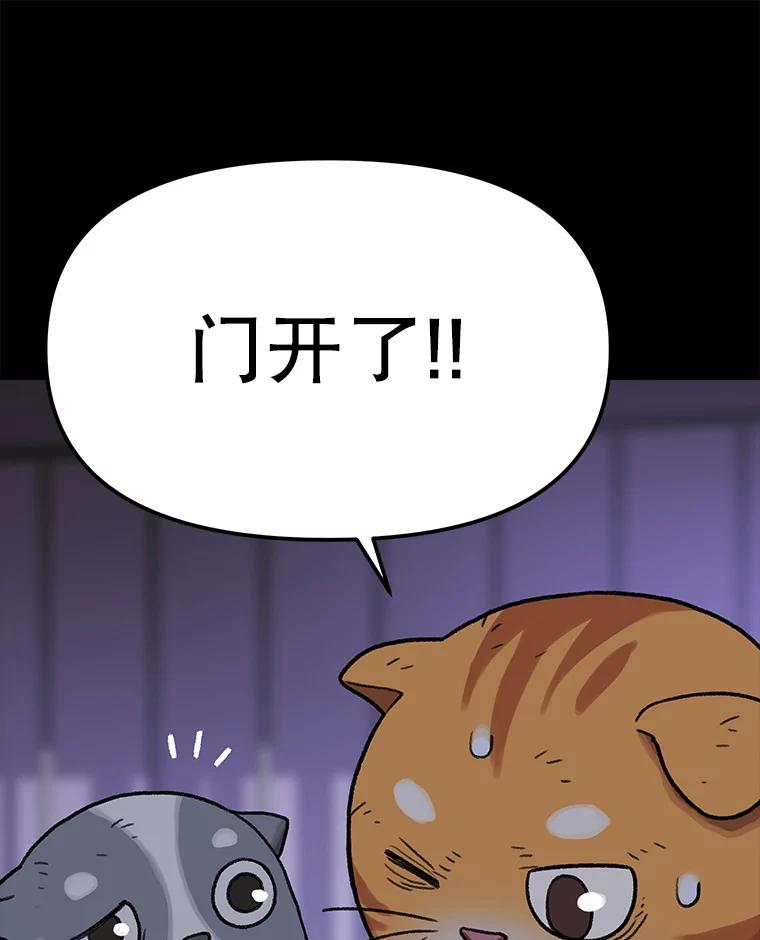 《彩虹桥守望者》137.一起逃跑 第59页