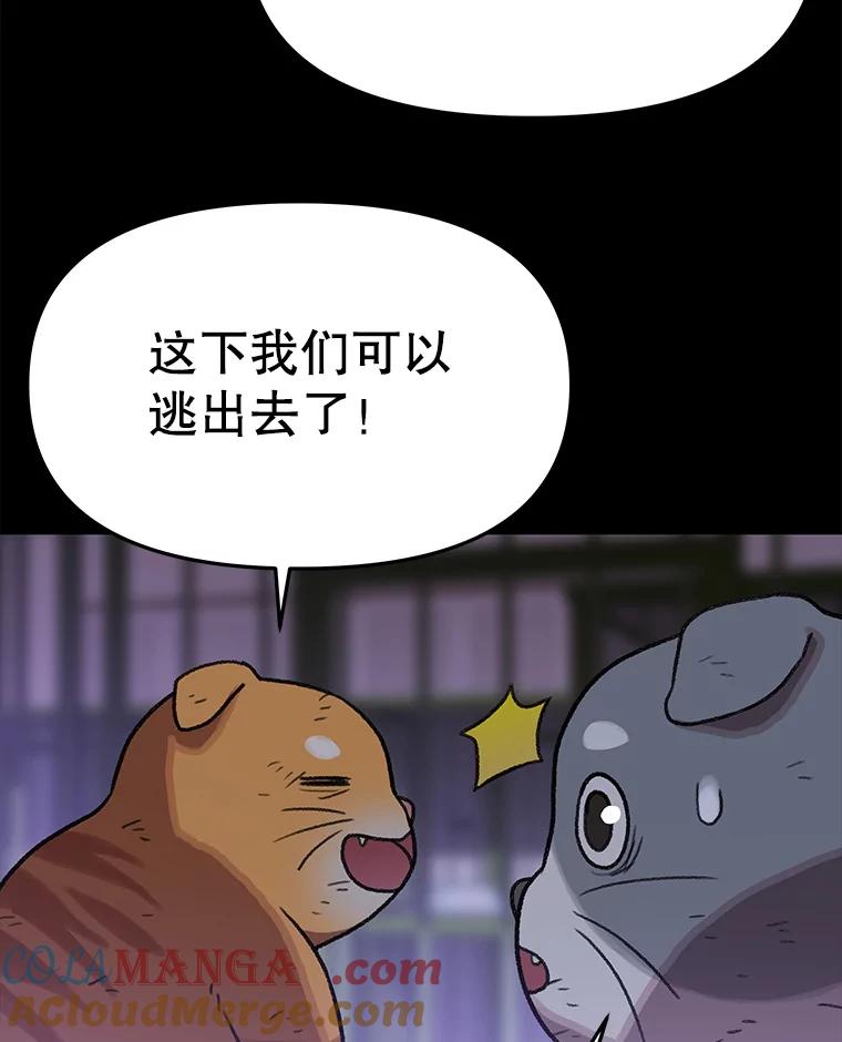 《彩虹桥守望者》137.一起逃跑 第61页