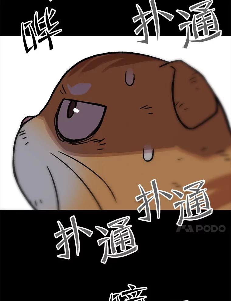 《彩虹桥守望者》137.一起逃跑 第75页