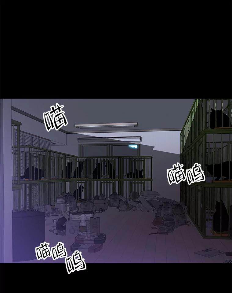 《彩虹桥守望者》137.一起逃跑 第56页