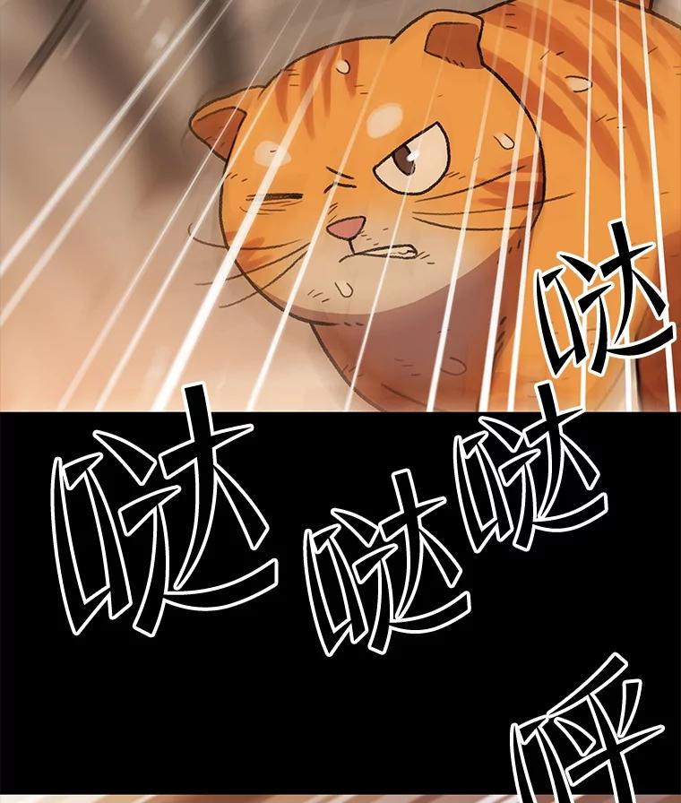 《彩虹桥守望者》137.一起逃跑 第90页