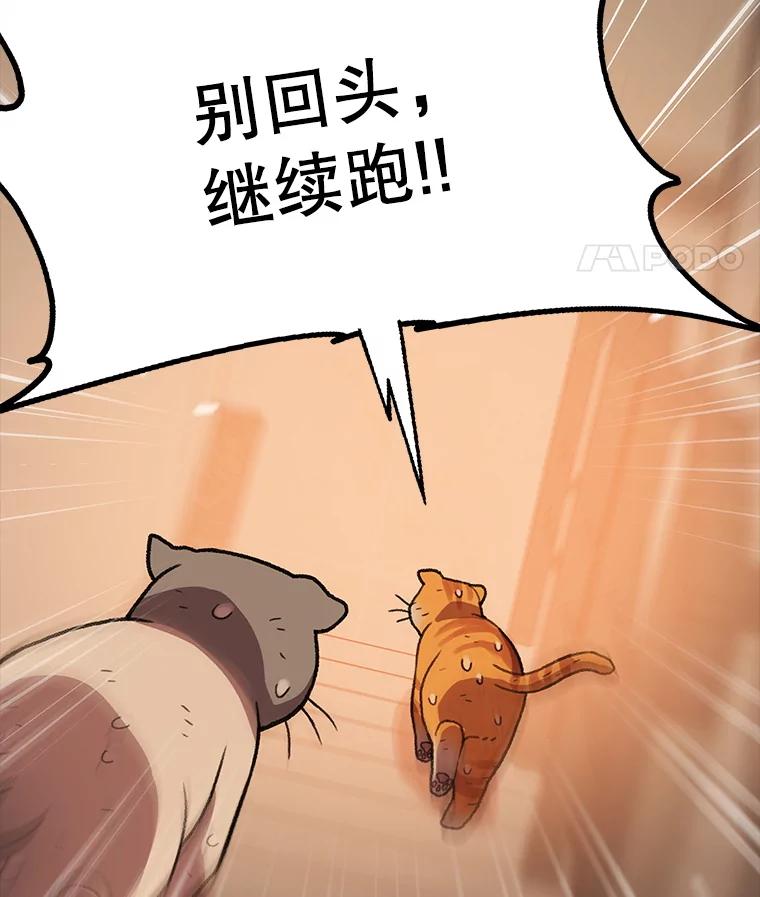 《彩虹桥守望者》137.一起逃跑 第86页