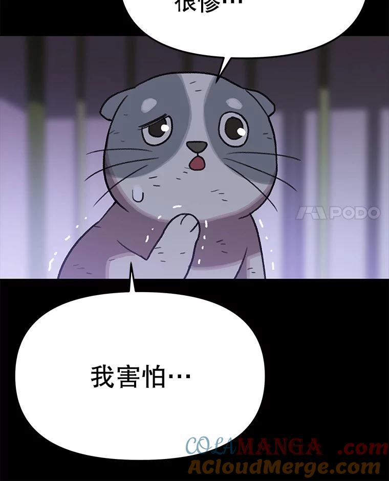 《彩虹桥守望者》137.一起逃跑 第65页