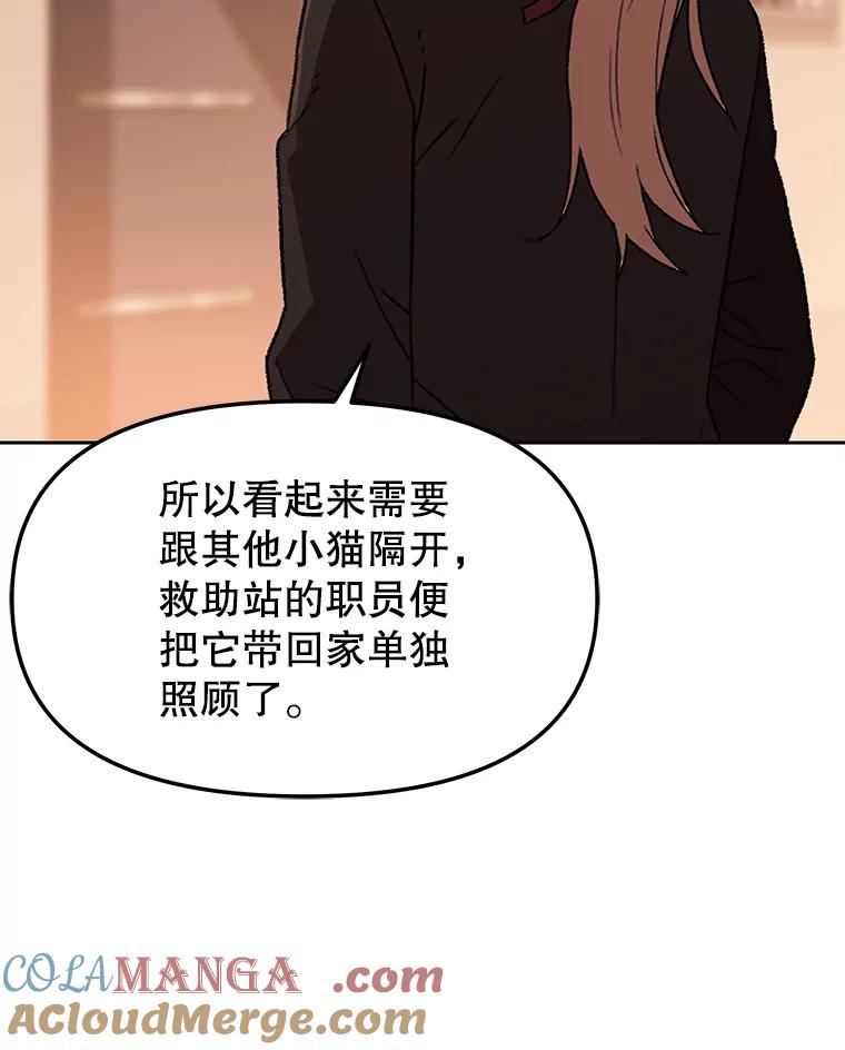 《彩虹桥守望者》138.努里的故事 第37页