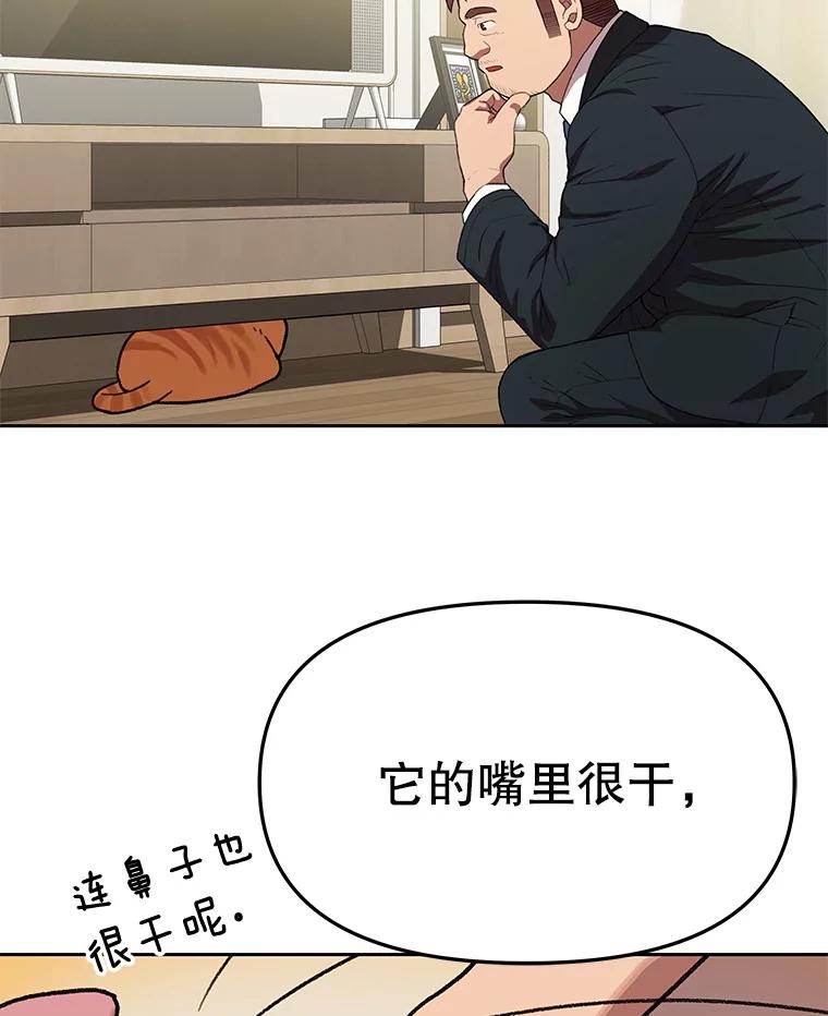 《彩虹桥守望者》138.努里的故事 第47页