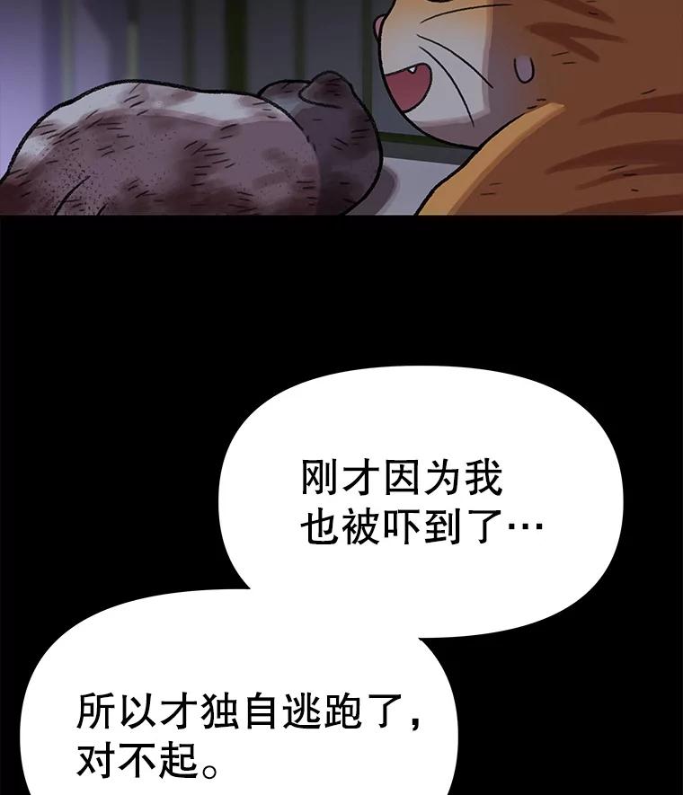 《彩虹桥守望者》138.努里的故事 第96页
