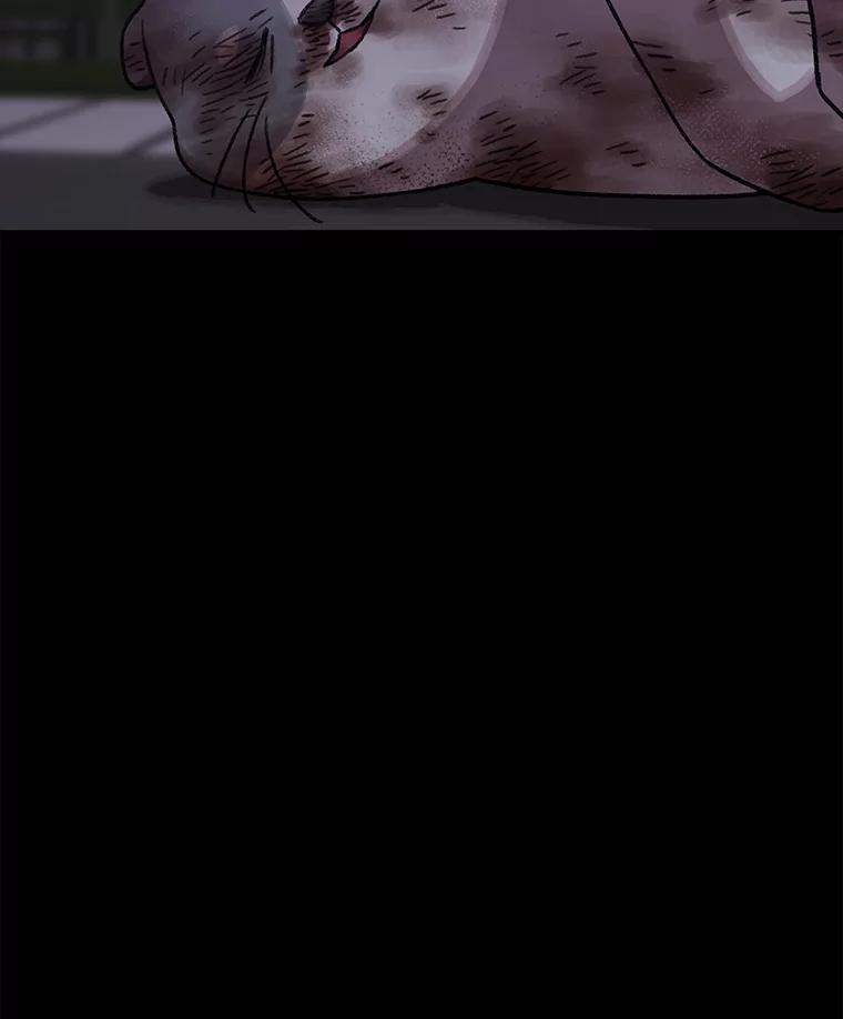 《彩虹桥守望者》138.努里的故事 第67页