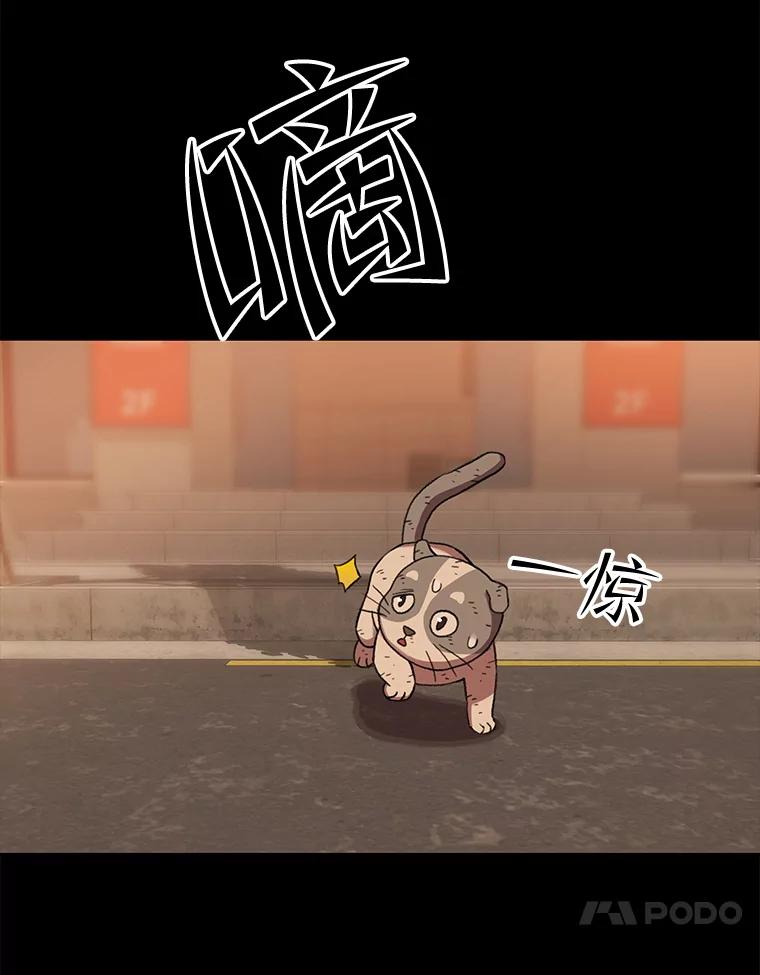 《彩虹桥守望者》138.努里的故事 第11页