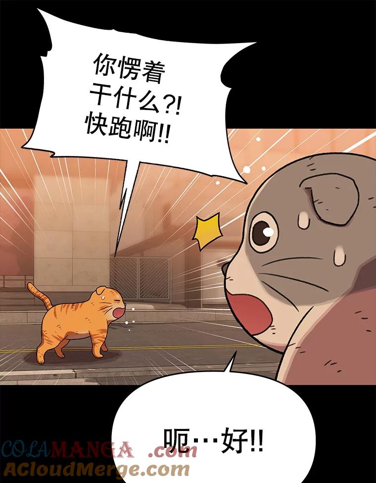 《彩虹桥守望者》138.努里的故事 第9页