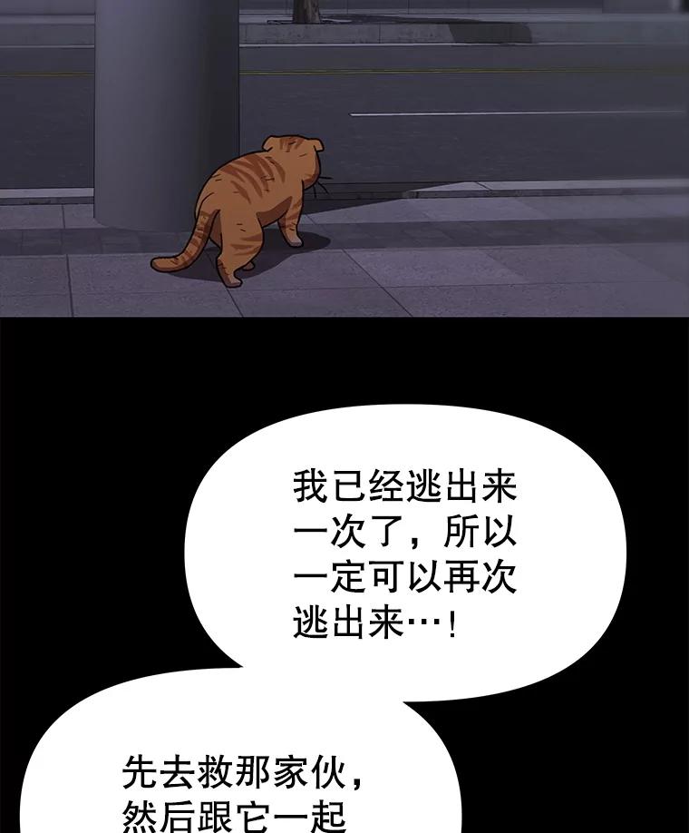 《彩虹桥守望者》138.努里的故事 第70页