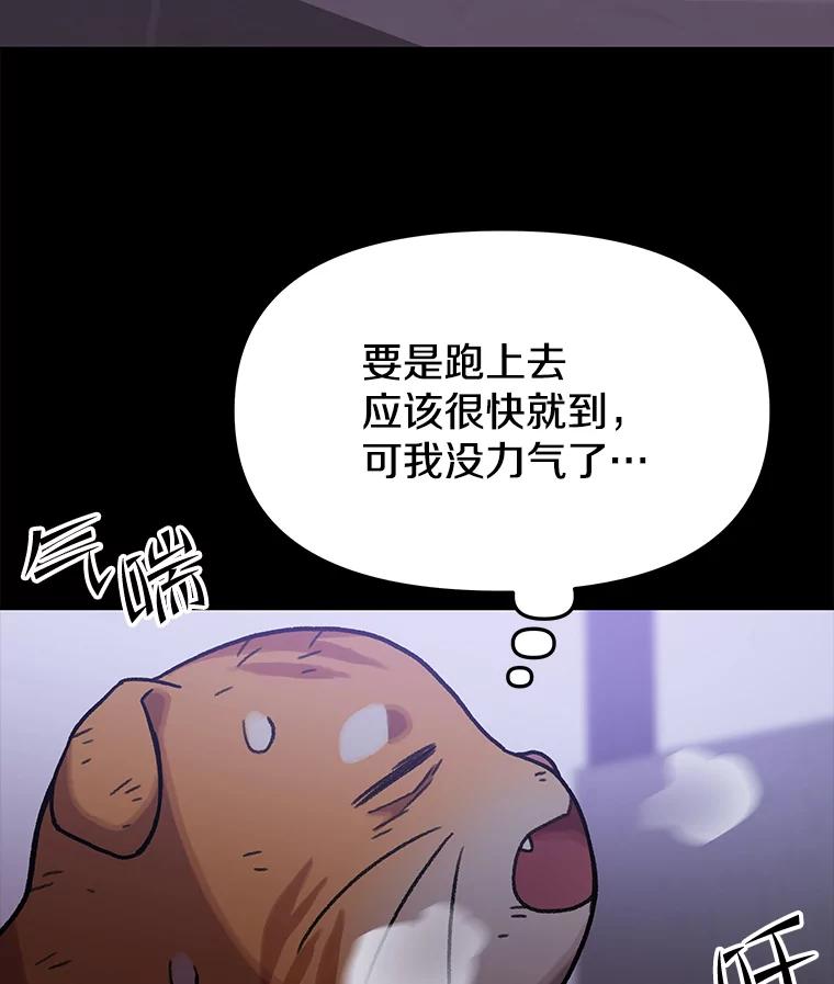 《彩虹桥守望者》138.努里的故事 第74页