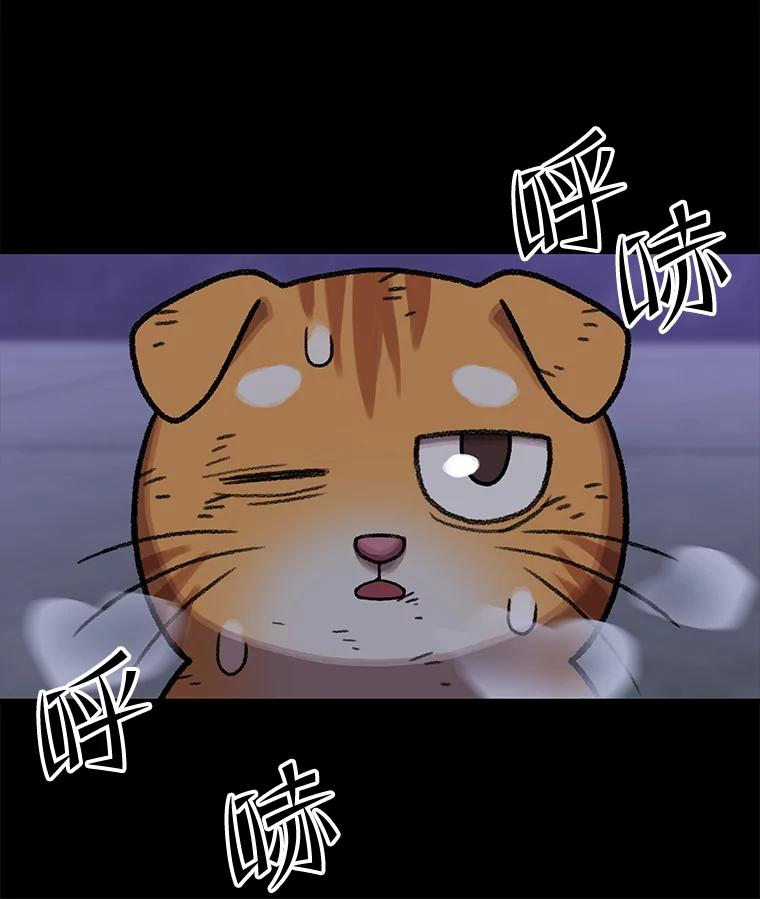 《彩虹桥守望者》138.努里的故事 第79页