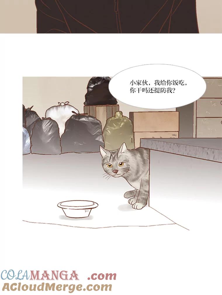 《远看是蔚蓝的春天》140.怎么会有那种事 第19页