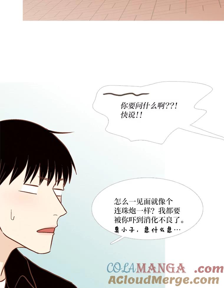 《远看是蔚蓝的春天》146.为了期待 第13页