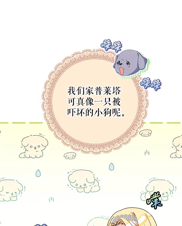 《这次要好好养妹妹》19.普莱塔的身世 第139页