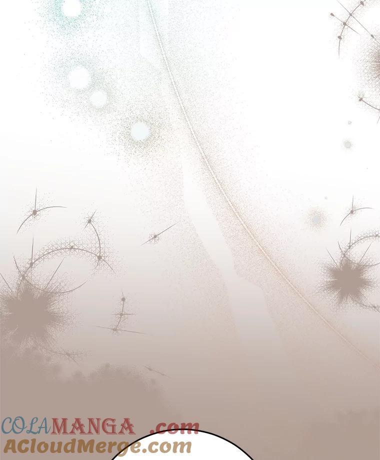 《这次要好好养妹妹》19.普莱塔的身世 第29页
