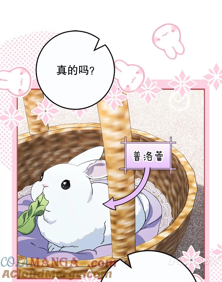 《这次要好好养妹妹》21.反常的普莱塔 第65页