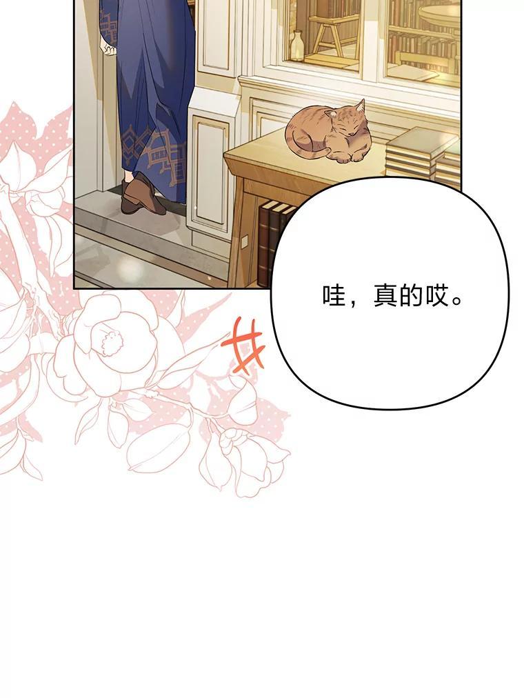 《还以为是绝症丈夫呢》39.月老难当 第74页
