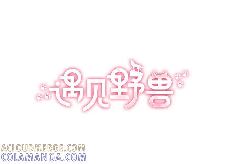 《遇见野兽》57.迟到的母爱 第13页