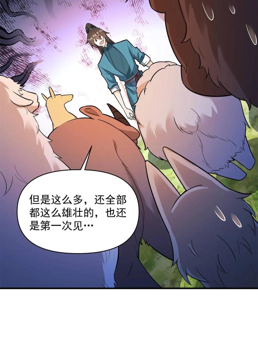 《原来我是修仙大佬》第484话 484话 第14页