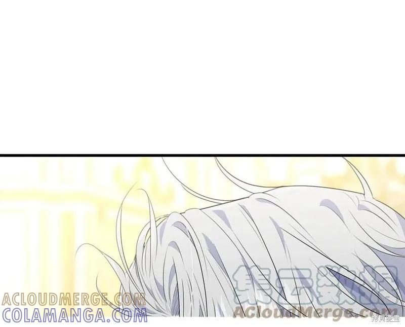 《明明是冷美人小姐却变成了忠犬大少爷》第77话 第165页