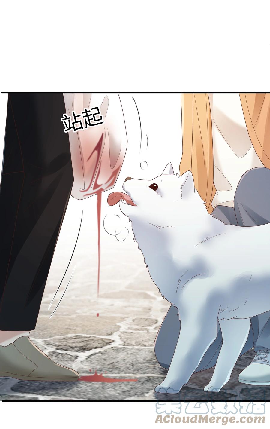 单方面已婚 - 027 谁招来的狗东西！ - 第15张图