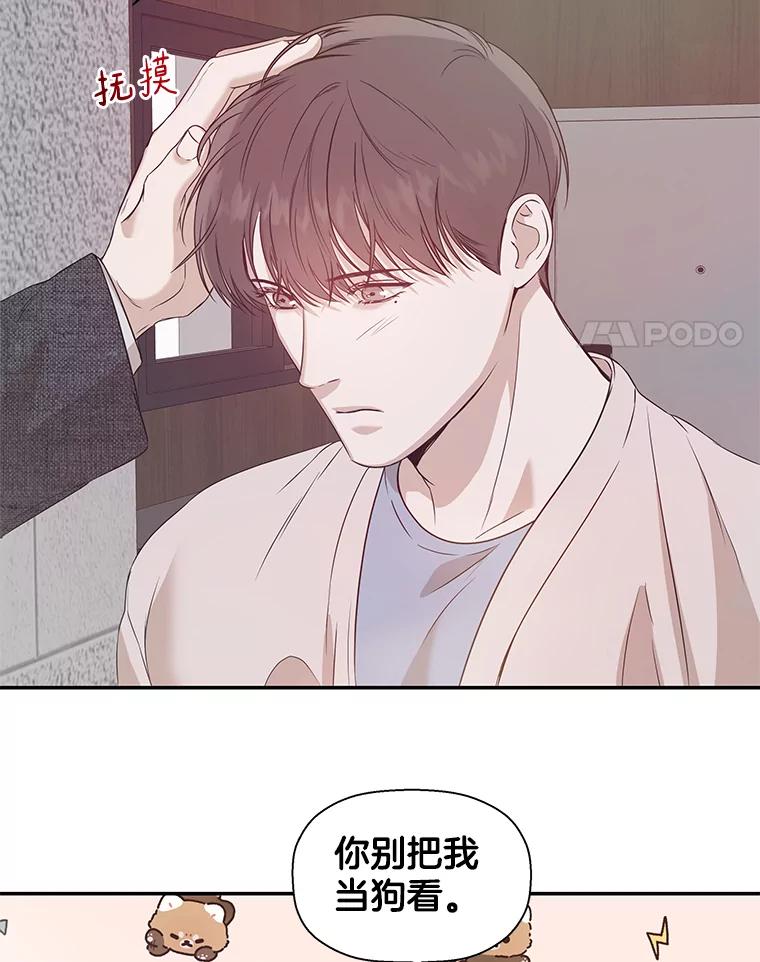 《异乡人》28.新的开始 第42页