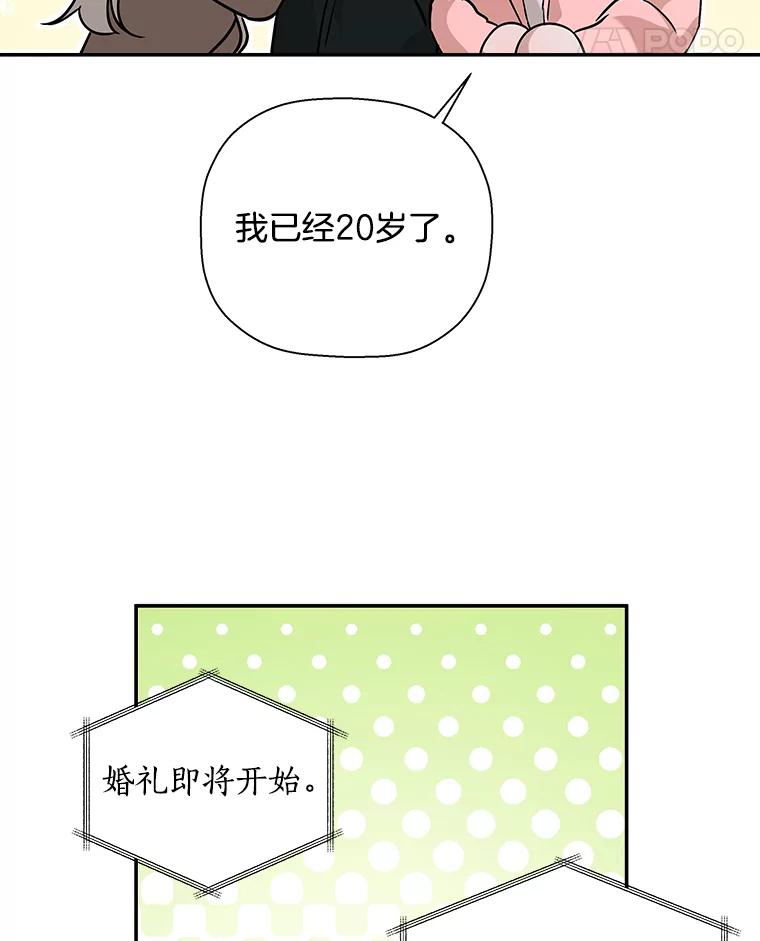 《异乡人》39.参加婚礼 第66页