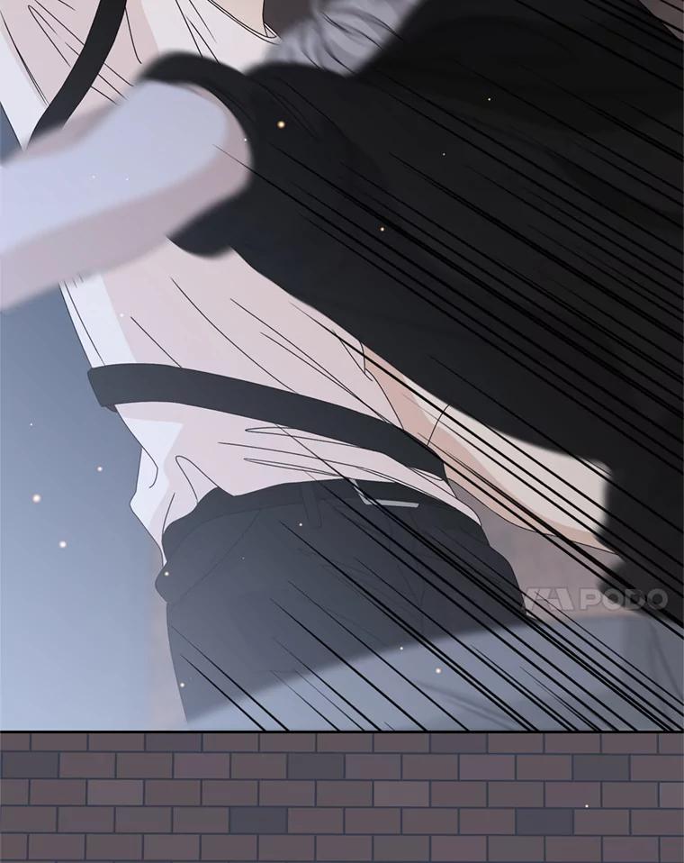 《替吸血鬼吃饭的我》67.祝酒歌 第10页