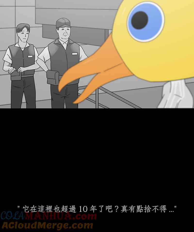 黑盒子 [第224话] 鸟人(2) 第37页