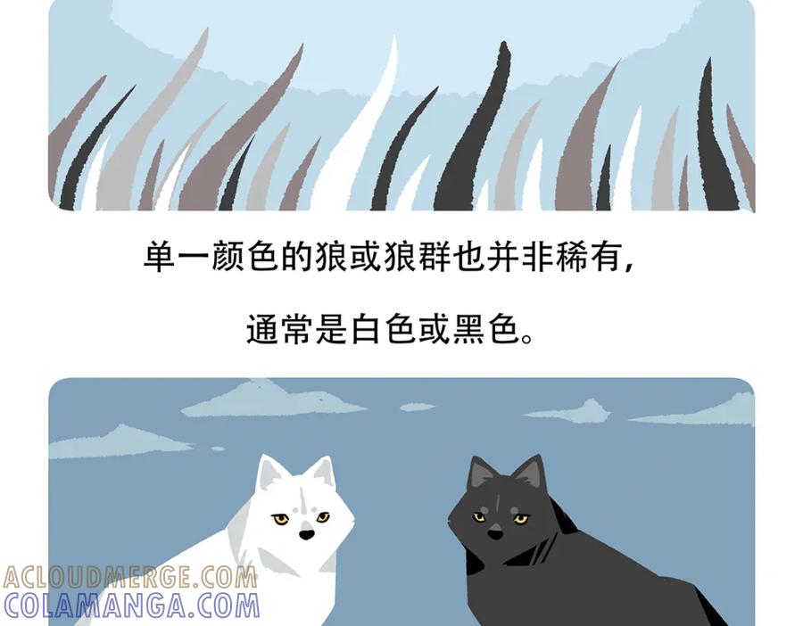 《胖达x胖达》第54话 第31页