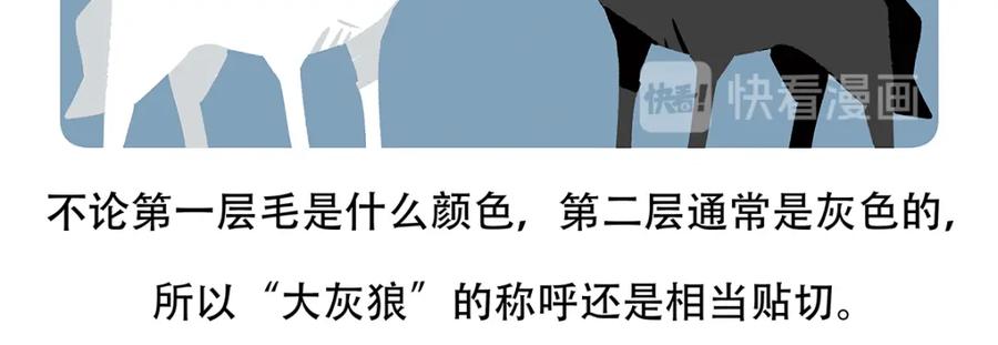 《胖达x胖达》第54话 第32页
