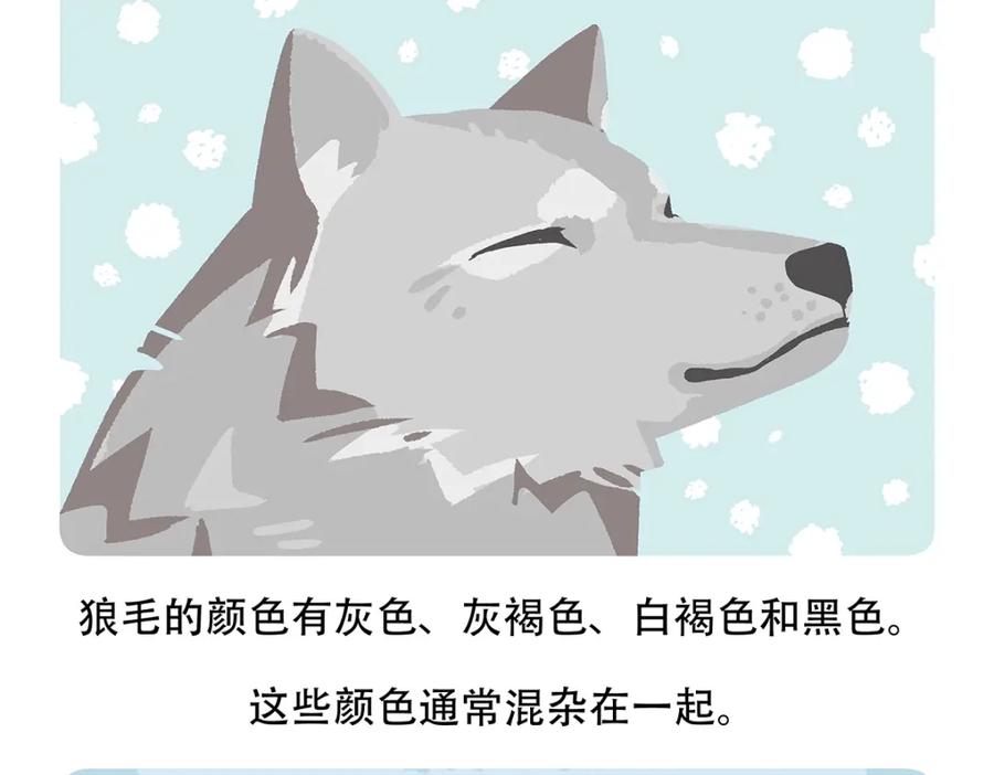 《胖达x胖达》第54话 第30页