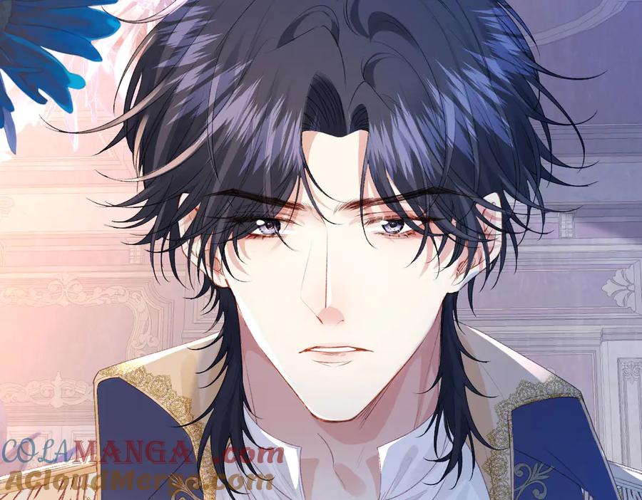 《虐文女主觉醒后》33 让他们夫妻重聚 第117页