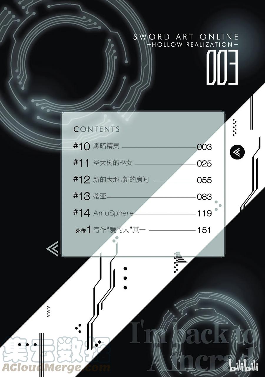 《刀剑神域 虚空幻界》10 第4页