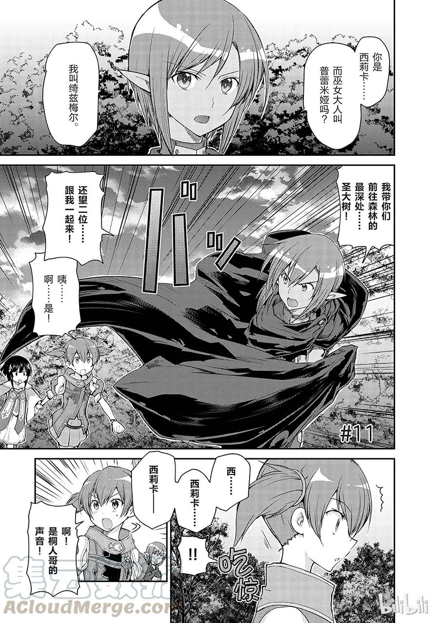 《刀剑神域 虚空幻界》11 第1页