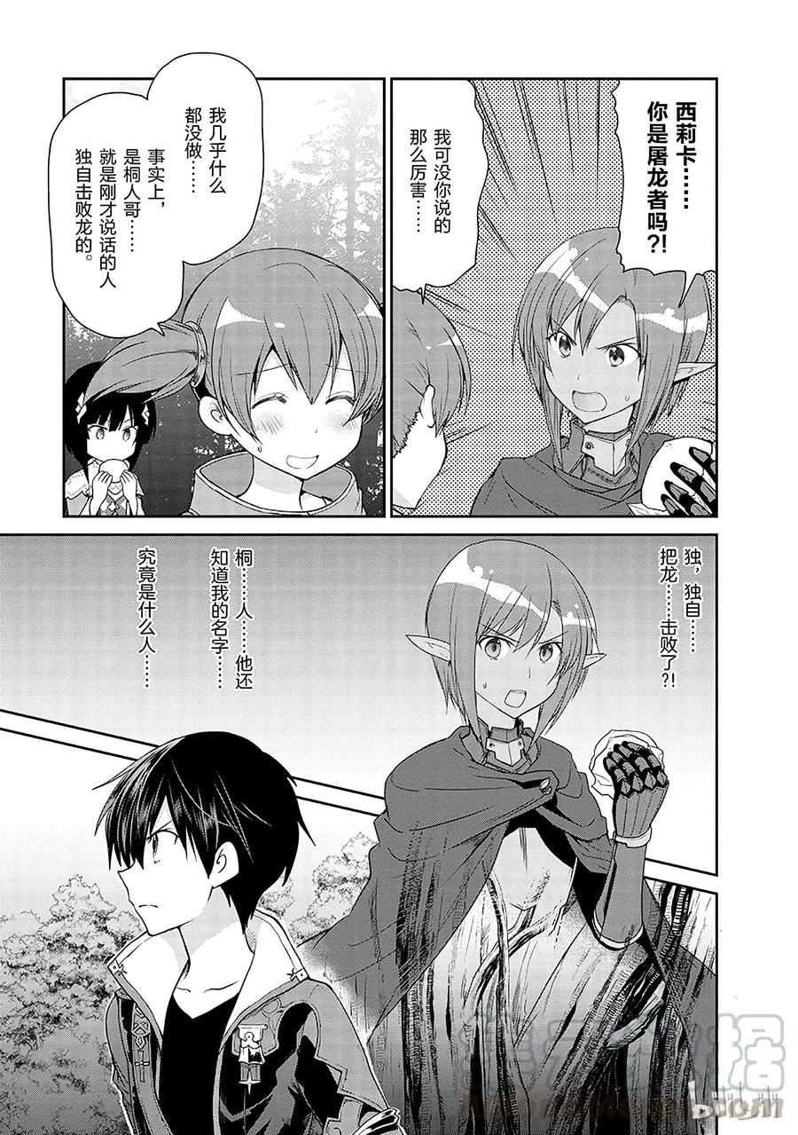 《刀剑神域 虚空幻界》11 第13页