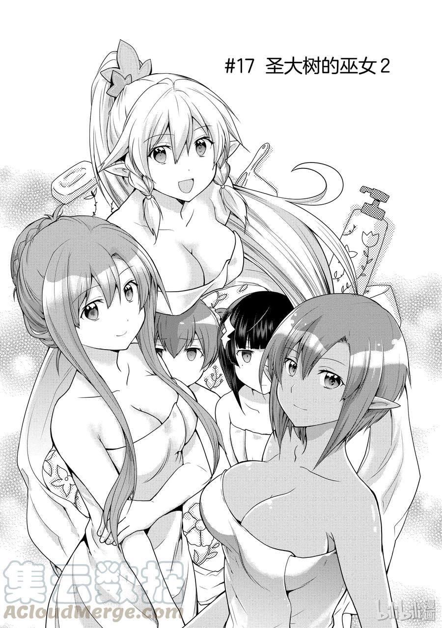 《刀剑神域 虚空幻界》17 圣大树的巫女2 第1页