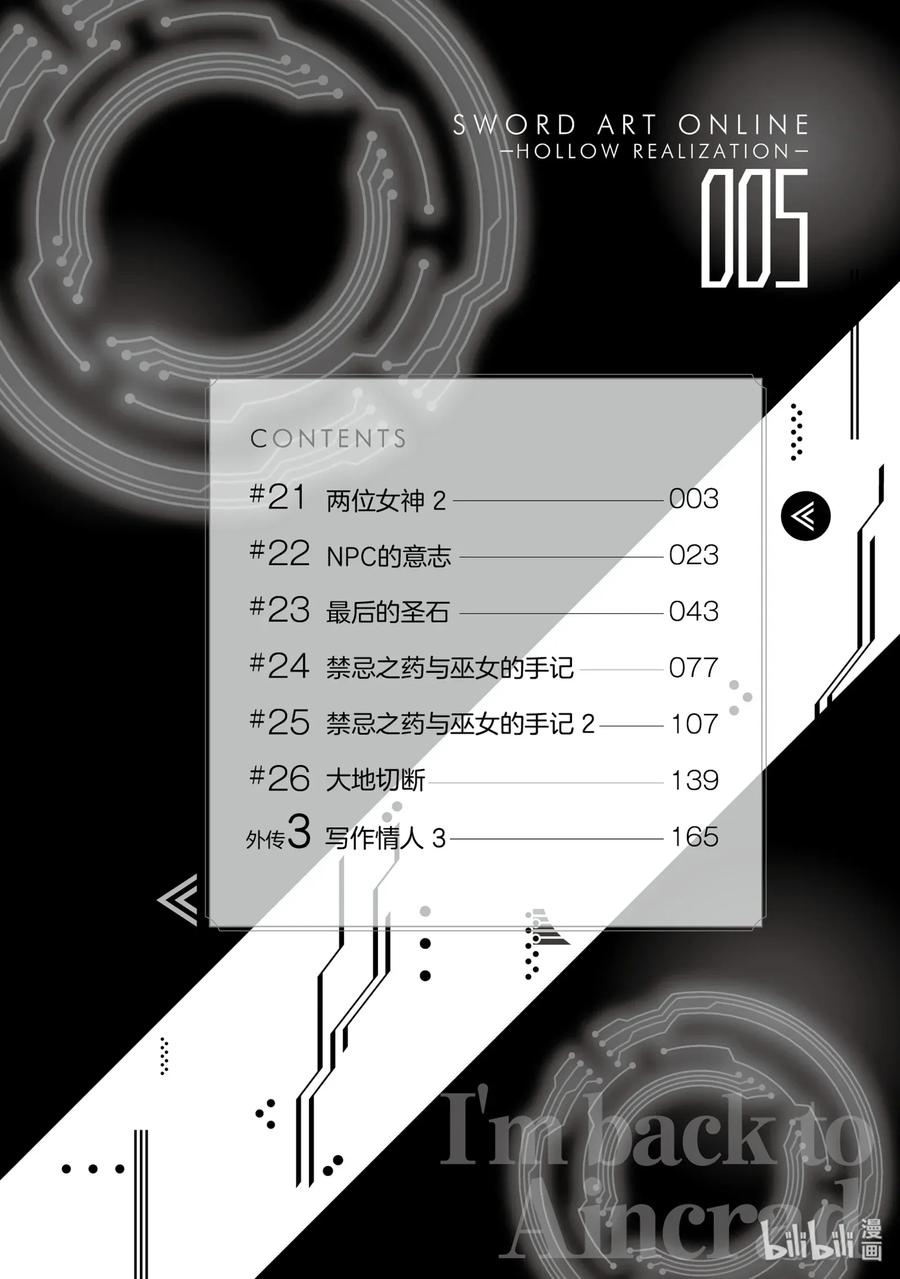 《刀剑神域 虚空幻界》21 两位女神2 第3页