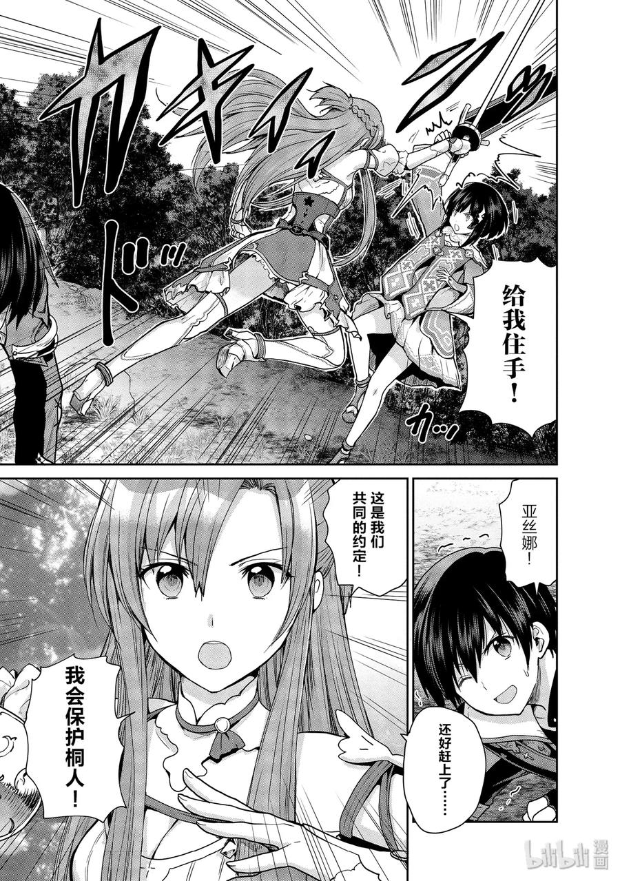 《刀剑神域 虚空幻界》24 禁忌之药与巫女的手记 第29页