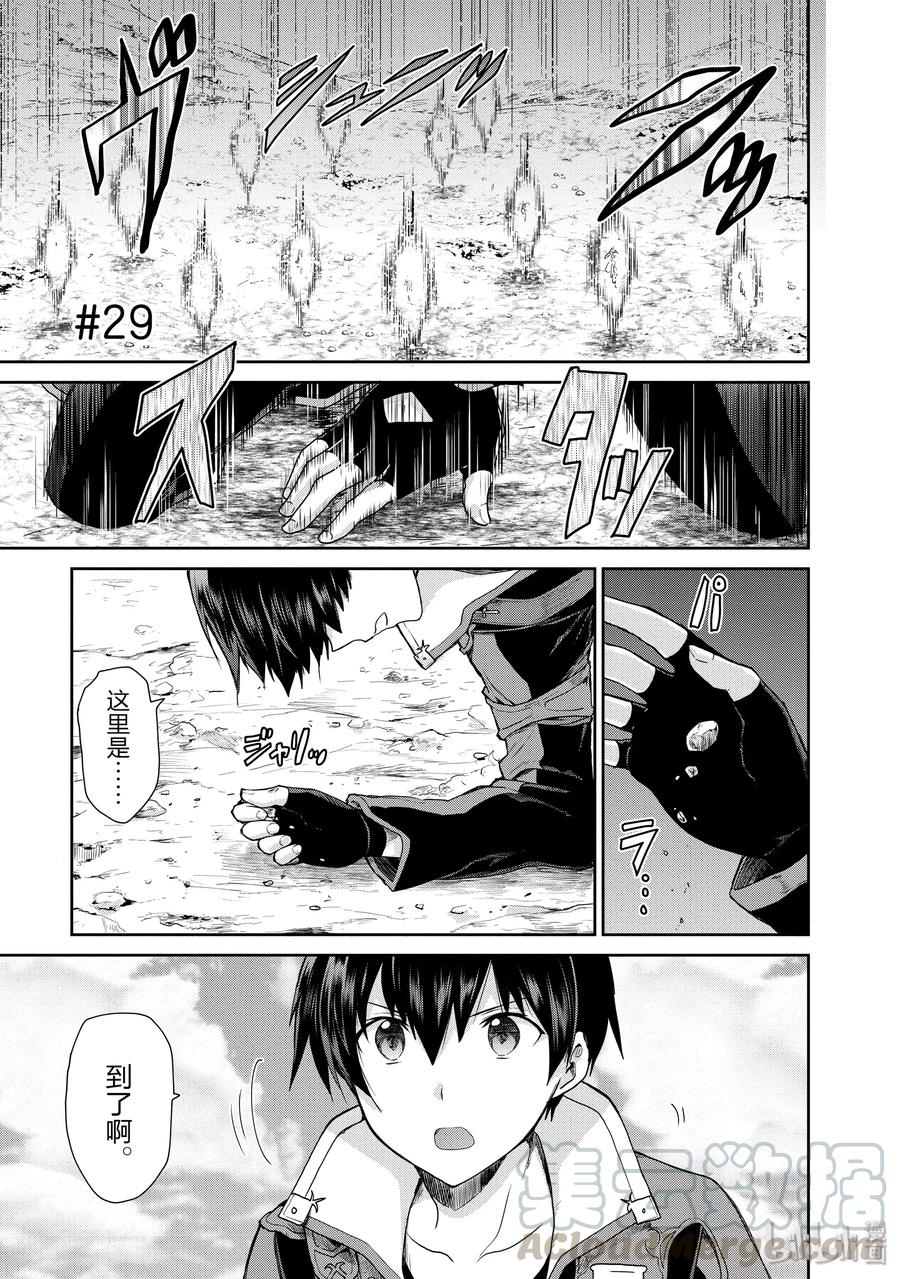 《刀剑神域 虚空幻界》29 Re：黑色剑士 第1页